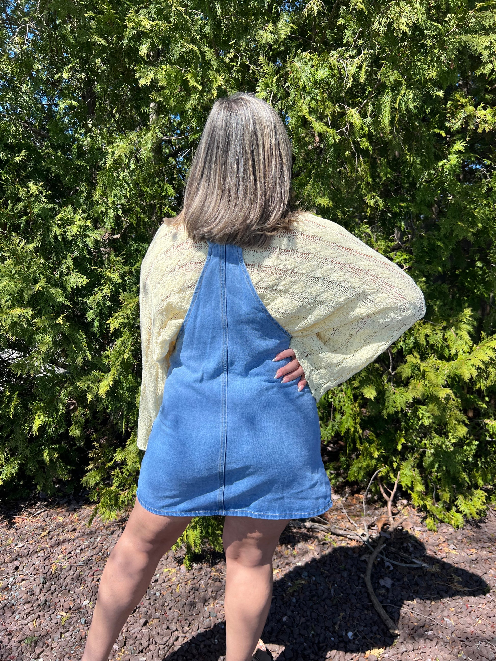 Day Out Denim Dress