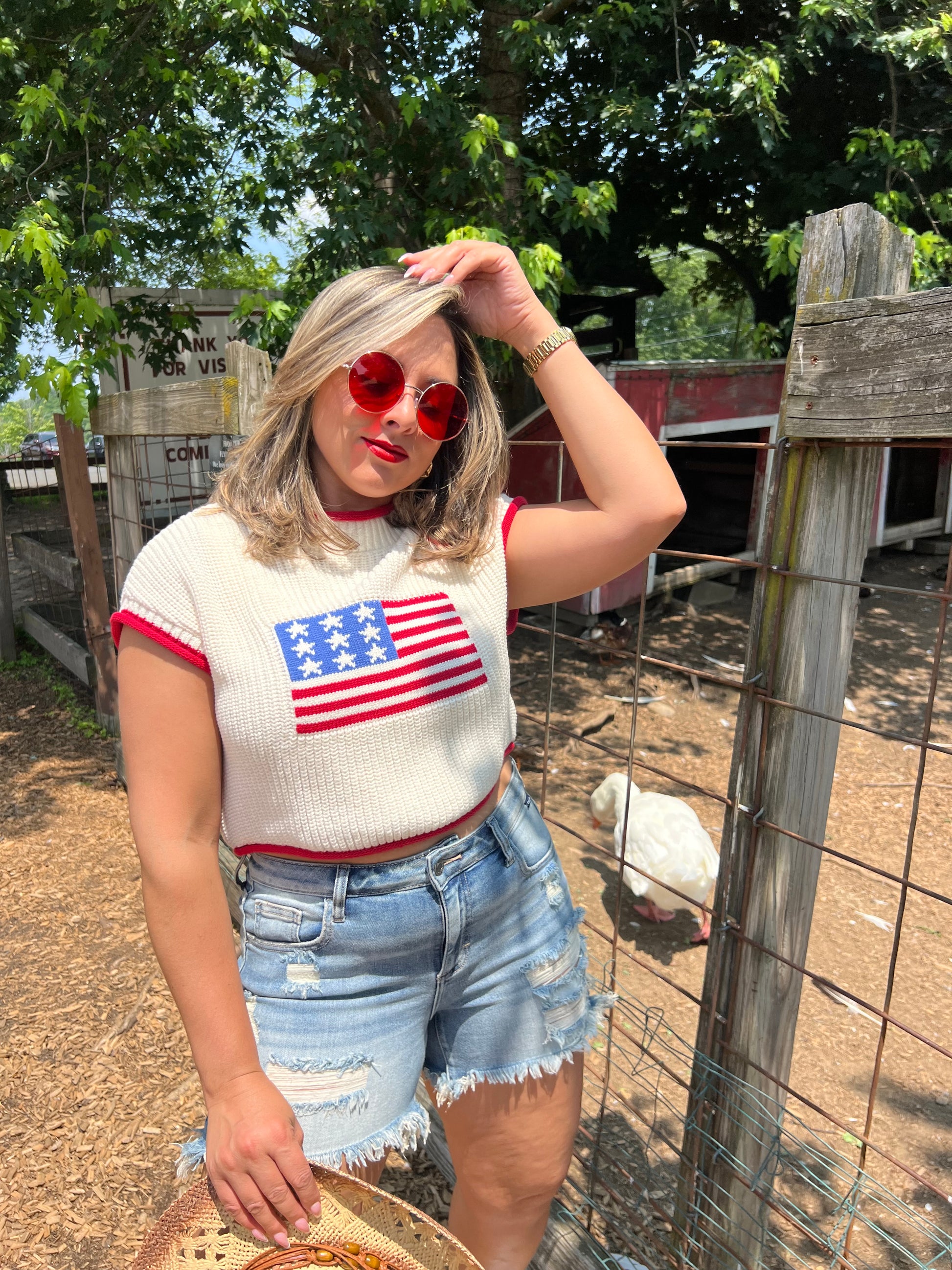USA Cropped Sweater