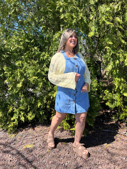 Day Out Denim Dress