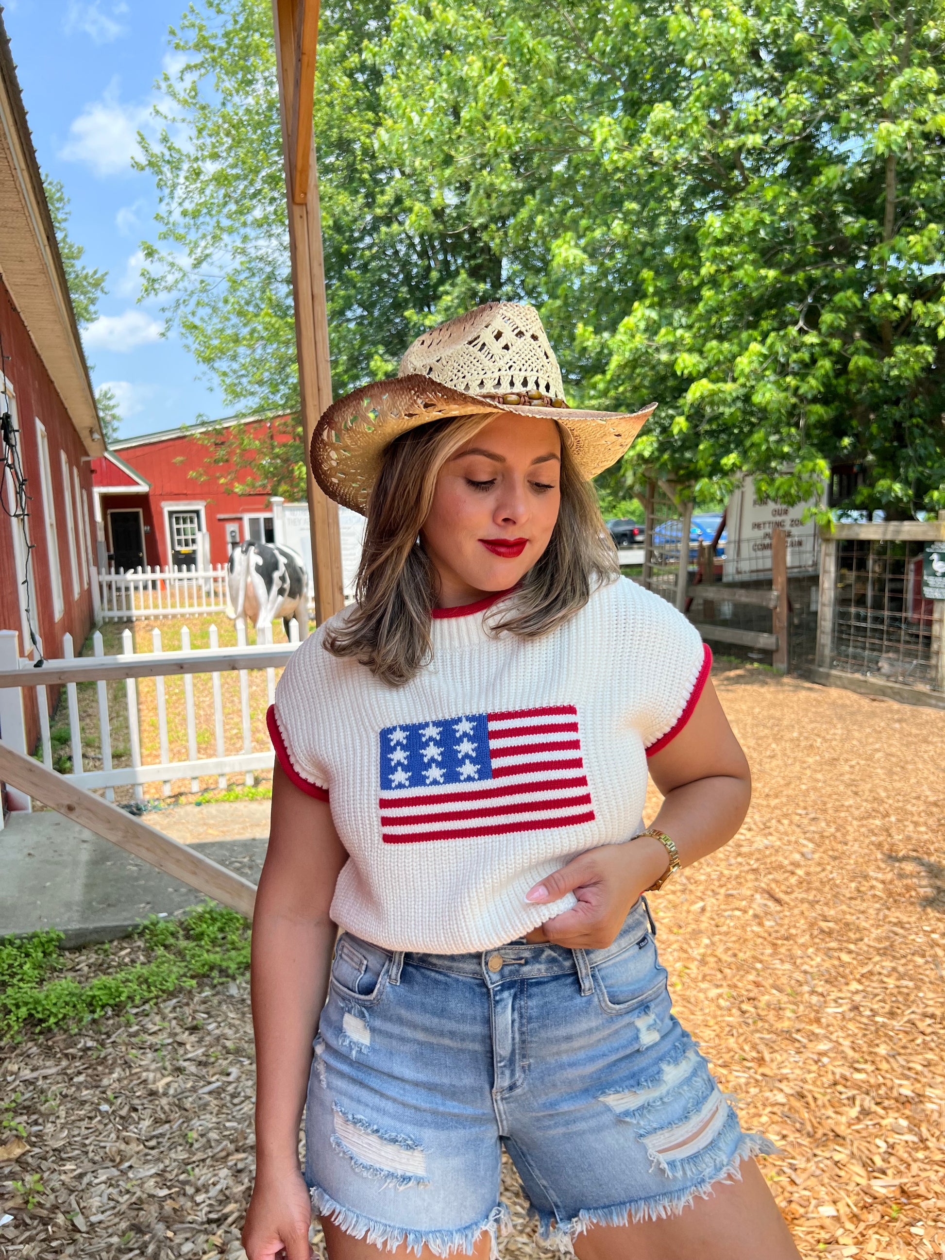 USA Cropped Sweater