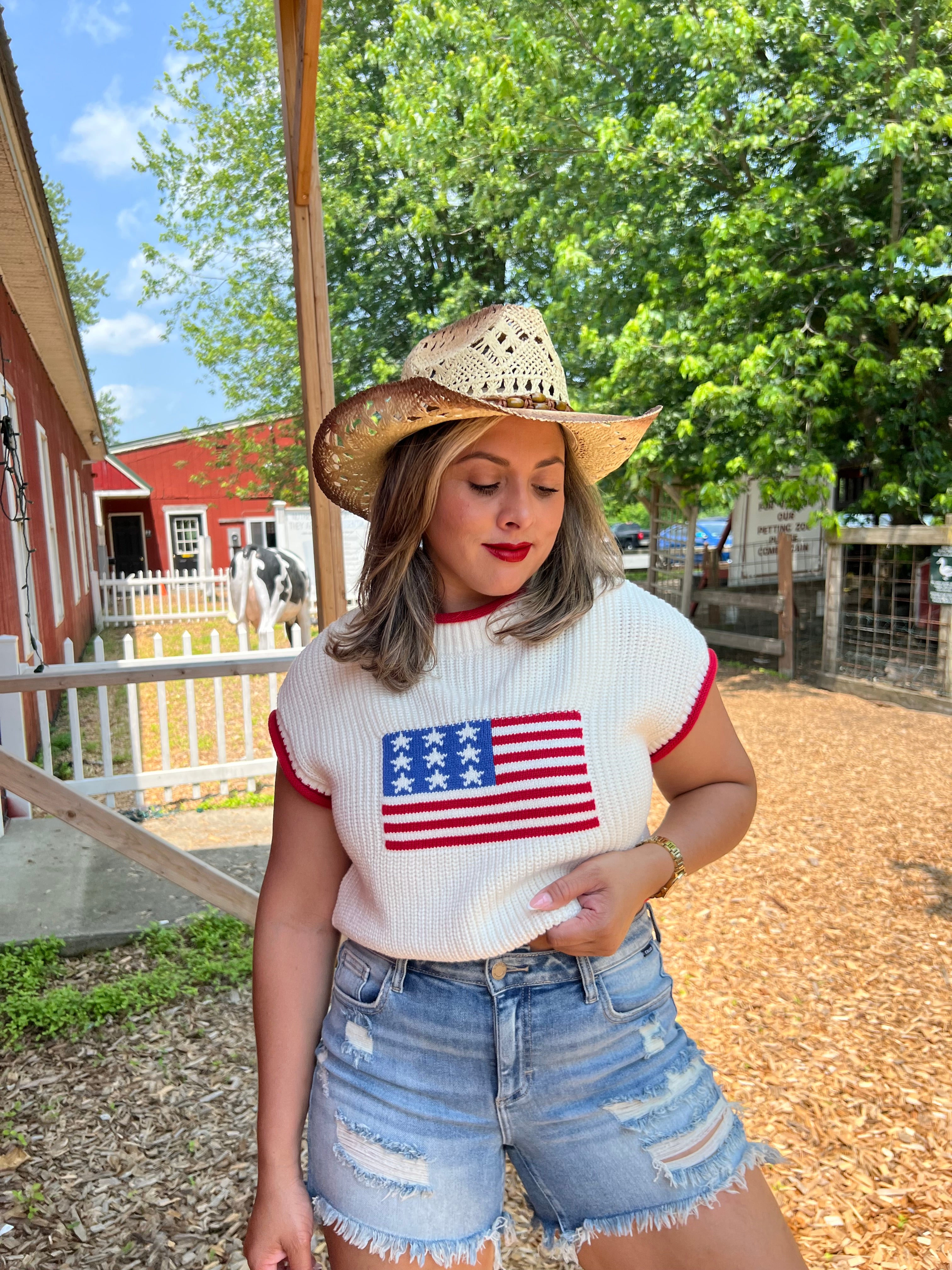 USA Cropped Sweater