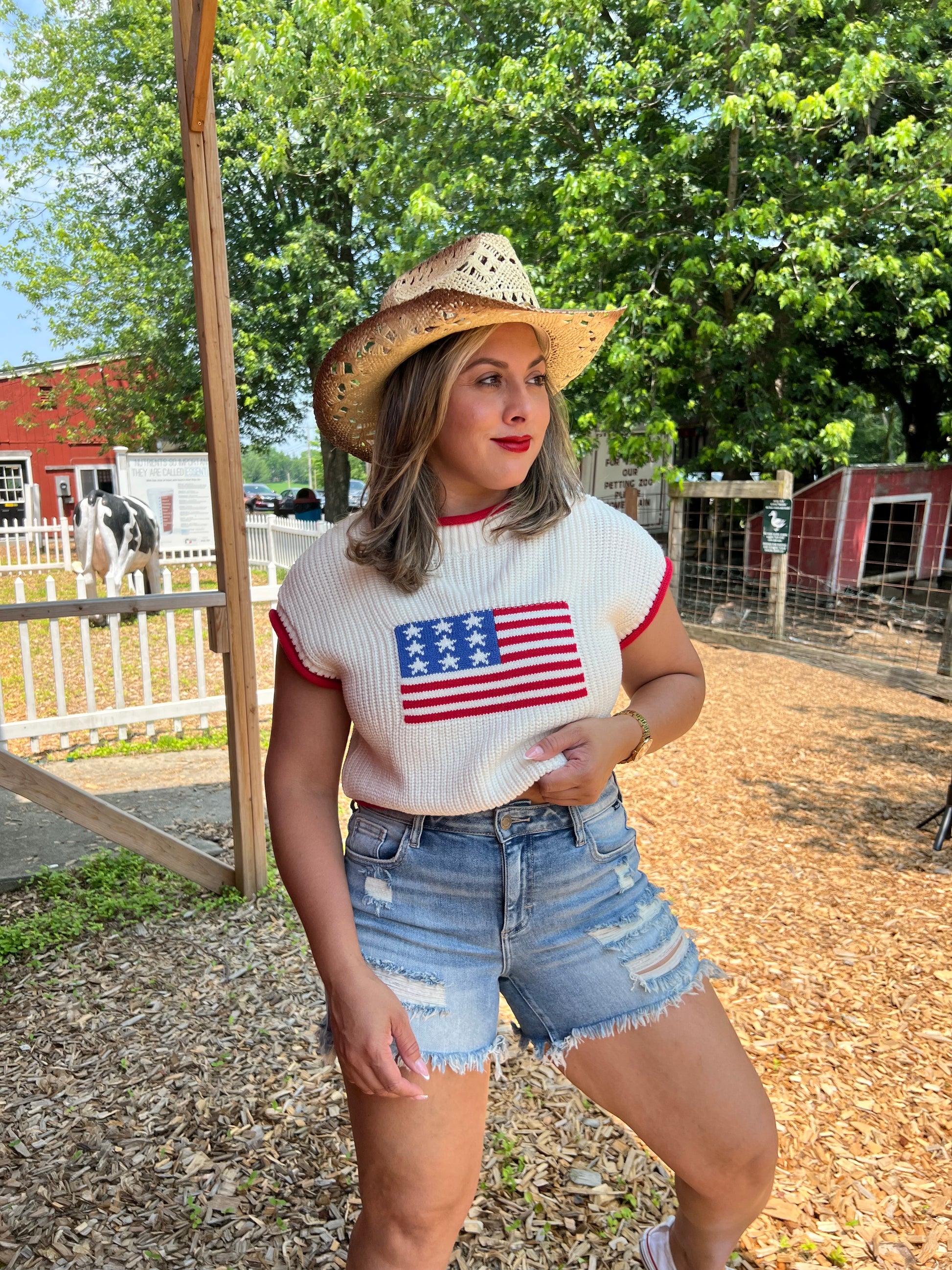 USA Cropped Sweater