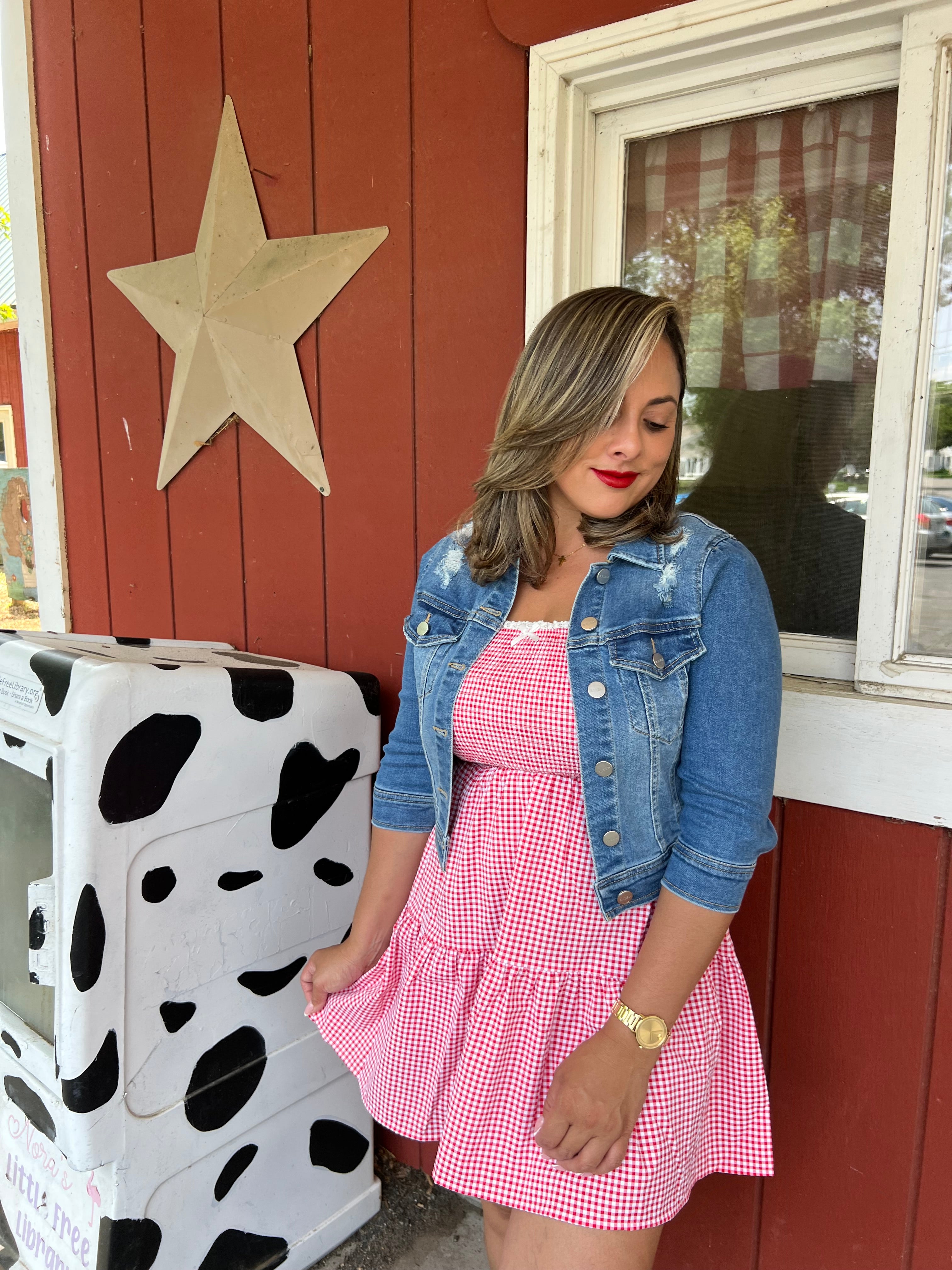 Americana Mini Dress
