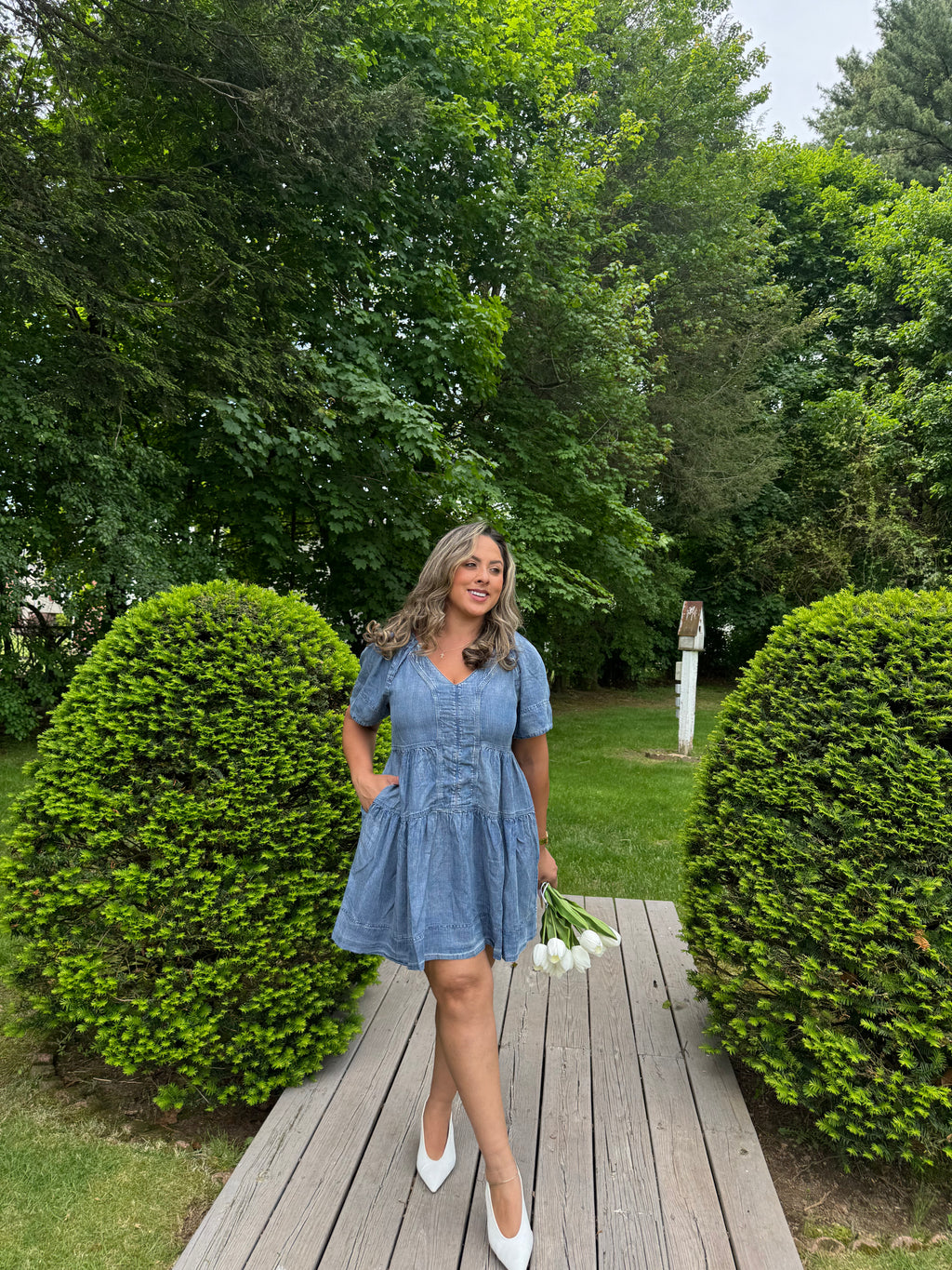 Flowy Vneck Denim Dress